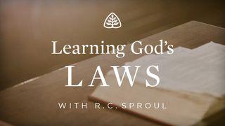 Learning God's Laws Isaiah 6:9 English Standard Version 2016