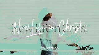 New Life In Christ Colossians 3:1 English Standard Version 2016