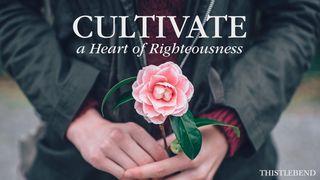 Cultivate a Heart of Righteousness! Ephesians 4:26-27 English Standard Version 2016