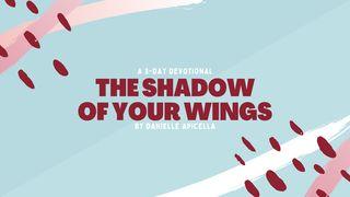 The Shadow of Your Wings Matthew 28:19 Amplified Bible