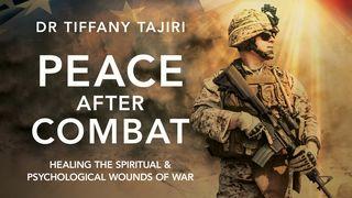 Peace After Combat - Healing the Spiritual & Psychological Wounds of War Ephesians 6:12 English Standard Version 2016