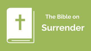 Financial Discipleship - the Bible on Surrender Matthew 7:21 English Standard Version 2016