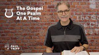 The Gospel One Psalm at a Time