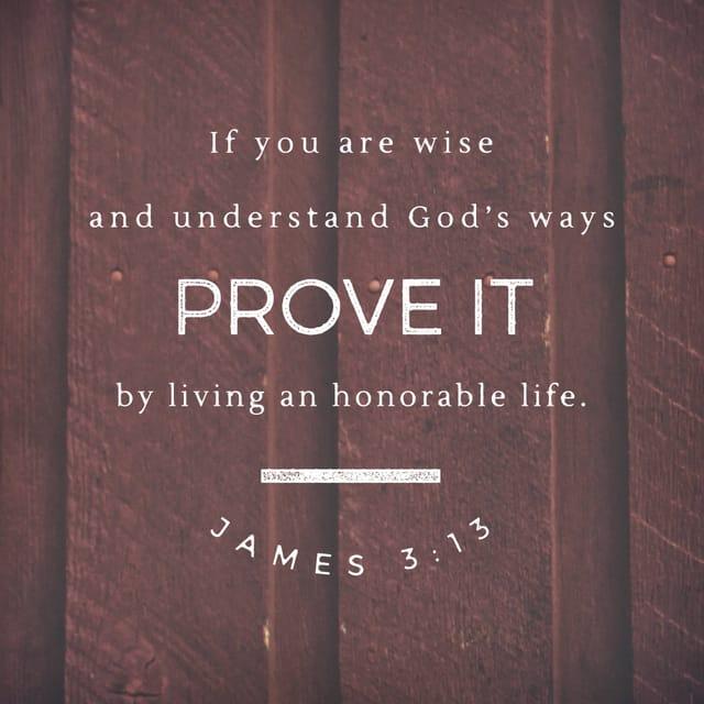 James 3:13 - Who is wise and understanding among you? By his good conduct let him show his works in the meekness of wisdom.