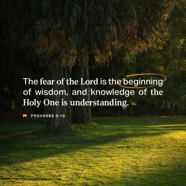 Proverbs 9:10 - The fear of the LORD is the beginning of wisdom,
and knowledge of the Holy One is understanding.
