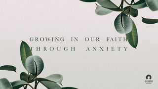 Growing Our Faith Through Anxiety Hebrews 6:19 New International Version