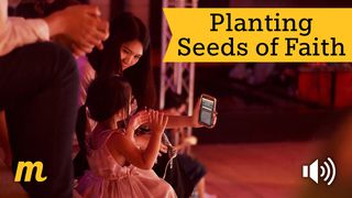 Planting Seeds Of Faith Proverbs 22:6 The Message
