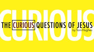 The Curious Questions Of Jesus Luke 12:35-59 New Living Translation