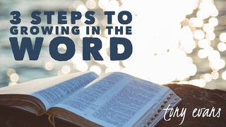 3 Steps To Growing In The Word Psalms 119:105 New Century Version