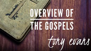 Overview Of The Gospels Mark 1:8 New International Version