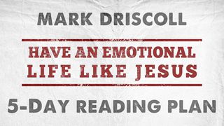 Have An Emotional Life Like Jesus John 1:29 The Passion Translation