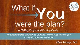 What If You Were The Plan? Genesis 6:8 New International Version