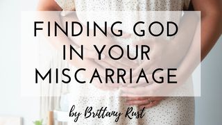 Finding God In Your Miscarriage Job 42:3 New Living Translation