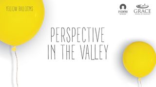 Perspective In The Valley  Romans 7:15-25 New International Version