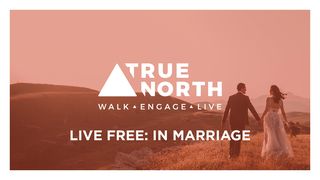 True North: LIVE Free In Marriage Provérbios 18:22 Nova Tradução na Linguagem de Hoje