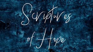 Scriptures Of Hope Deuteronomy 31:6 New American Standard Bible - NASB 1995
