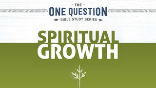 One Question Bible Study: Spiritual Growth Philippians 2:12 Amplified Bible