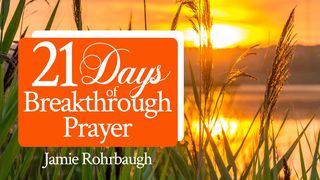 21 Days Of Breakthrough Prayer Psalms 72:18 New International Version