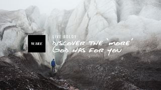 Live Boldly // Discover The 'More' God Has For You Luke 22:24-38 New International Version