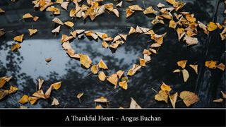 A Thankful Heart Romans 5:21 The Passion Translation