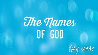 The Names Of God Psalms 8:4 New International Version