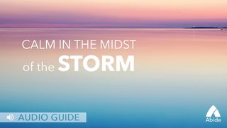 Calm In The Midst Of The Storm Psalms 37:3-4 New International Version