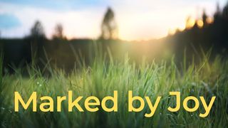 Marked By Joy Isaiah 53:2-3 Amplified Bible