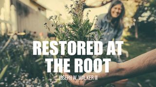 Restored at the Root John 8:34-36 New Living Translation