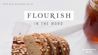 Flourish In The Word Psalms 119:34-35 The Passion Translation