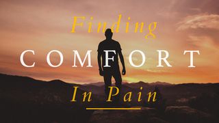 Finding Comfort In Pain Luke 9:58 New International Version