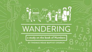 Wandering: A Study In Numbers Numbers 9:23 New International Version