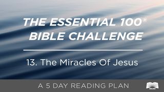 The Essential 100® Bible Challenge–13–The Miracles Of Jesus John 9:25 The Message