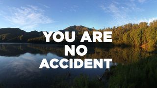 You Are No Accident Matthew 13:13-15 American Standard Version