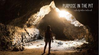Purpose In The Pit Genesis 42:7 New International Version