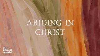 Abiding In Christ Galatians 2:18 New International Version