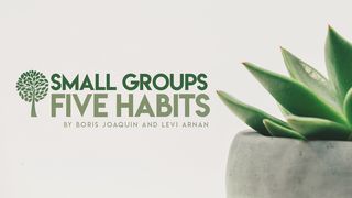 Small Groups. Five Habits Proverbs 18:2 The Message