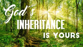 God’s Inheritance Is Yours Psalms 1:2-3 New Century Version