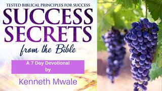 Success Secrets From The Bible 1 Thessalonians 4:11 New International Version