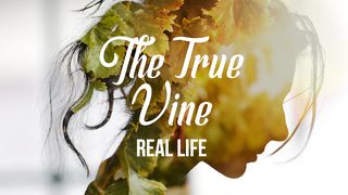 [Real Life] The True Vine John 1:9 American Standard Version