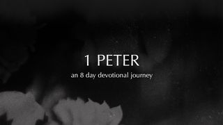 1 Peter 1 Peter 3:21-22 New International Version