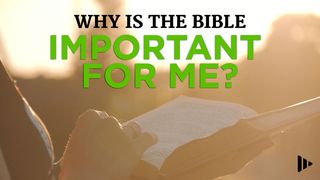 Why Is The Bible Important For Me? Devotions From Time Of Grace Isaiah 53:2-3 American Standard Version