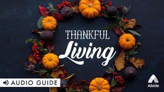 Thankful Living Romans 11:33 New Living Translation