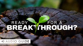 Ready for a Breakthrough? Mark 11:24 New International Version (Anglicised)