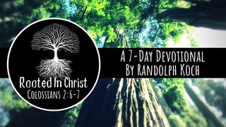 Rooted In Christ 1 Corinthians 8:6 American Standard Version
