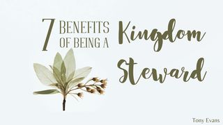 7 Benefits Of Being A Kingdom Steward Luke 22:24-30 New International Version