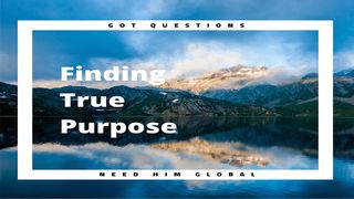Finding True Purpose Psalms 19:13-14 Amplified Bible