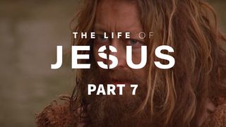 The Life of Jesus, Part 7 (7/10) John 12:13 New International Version (Anglicised)