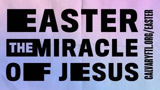 The Miracle of Easter 1 Corinthians 11:23-26 Amplified Bible