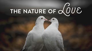 The Nature of Love Psalms 143:7-10 The Message