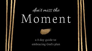 Don't Miss the Moment: A 5 Day Guide to Embracing God's Plan 1 Samuel 17:37 New International Version